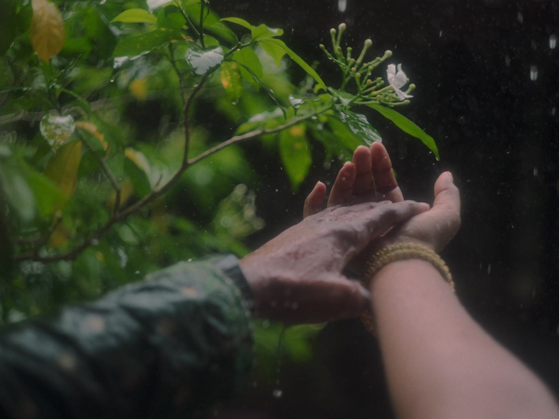 Vaishnav & Devayani: still 2