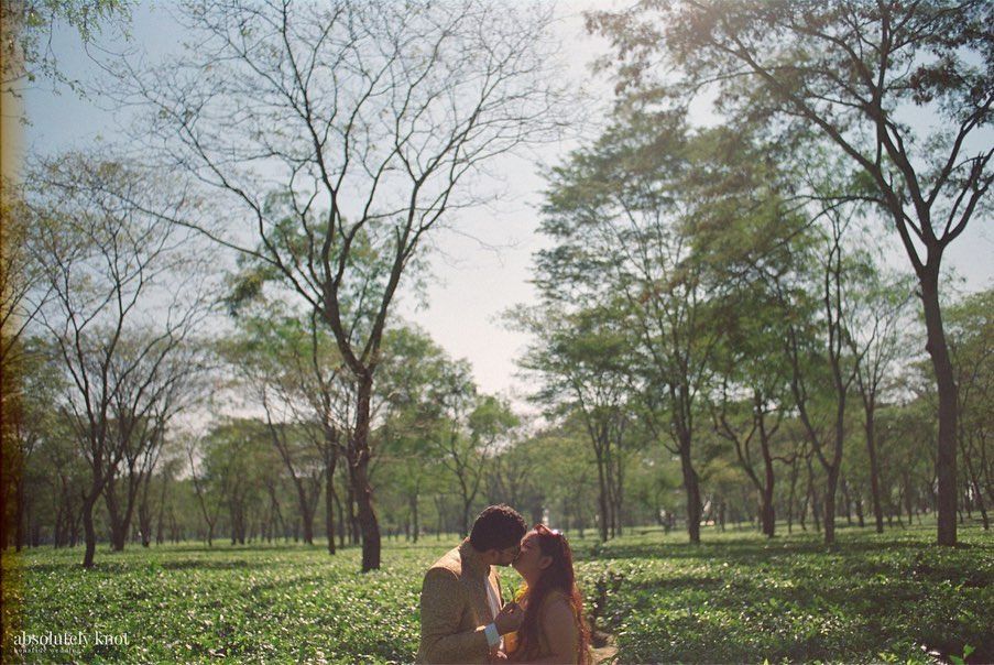 A couple among tall trees in a park, shot on Fujicolor Pro 400H
